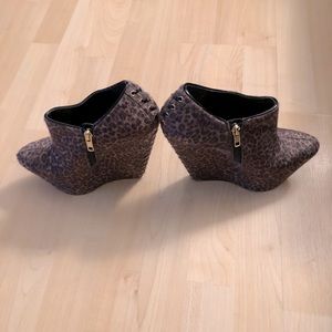 Wild Pair: Limelight